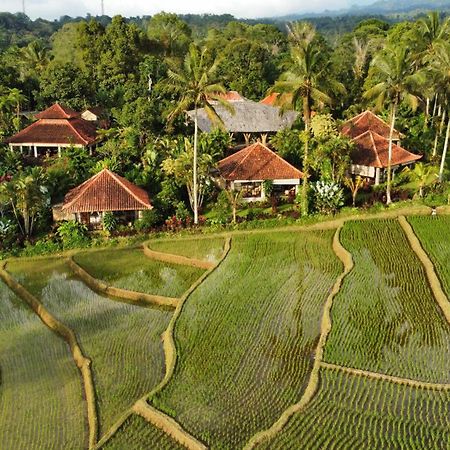 فندق Sava Eco Retreat Padangan  المظهر الخارجي الصورة