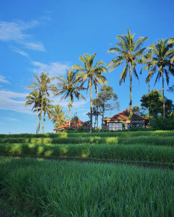 فندق Sava Eco Retreat Padangan  المظهر الخارجي الصورة