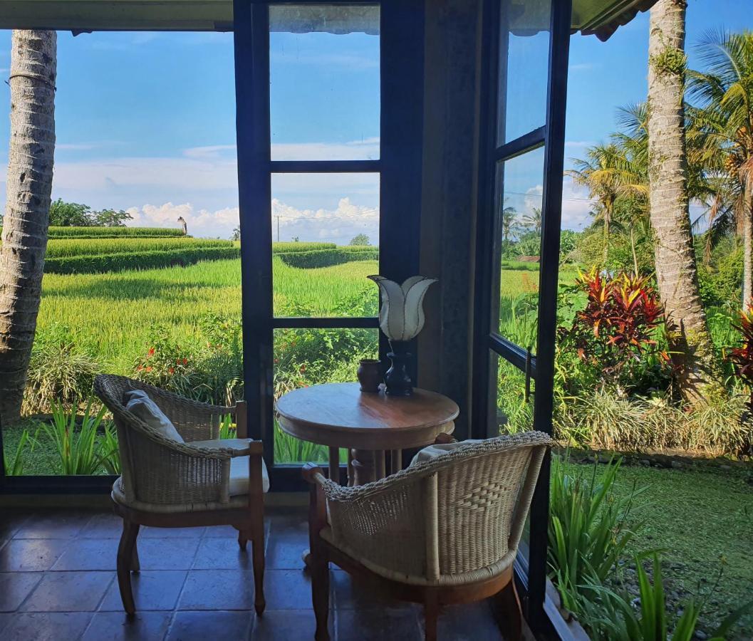 فندق Sava Eco Retreat Padangan  المظهر الخارجي الصورة