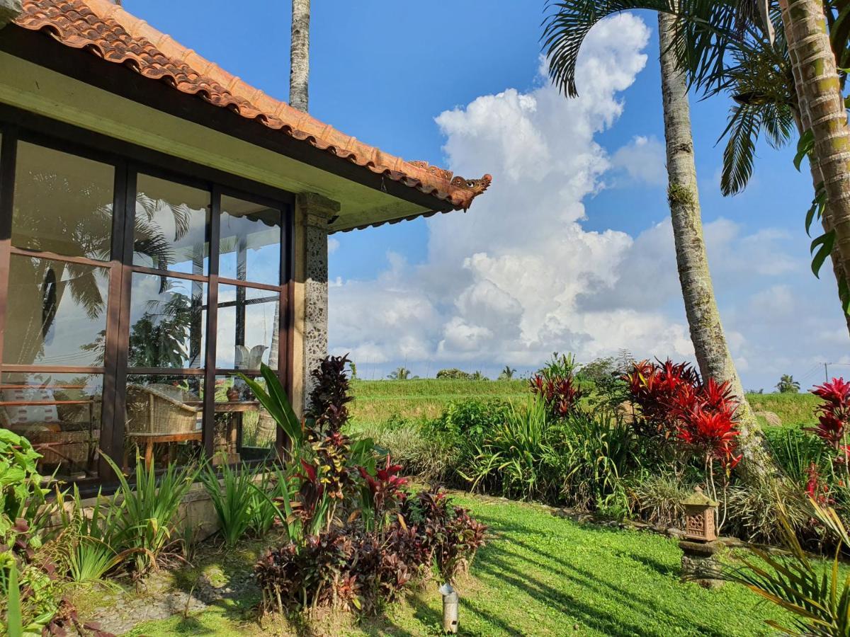 فندق Sava Eco Retreat Padangan  المظهر الخارجي الصورة