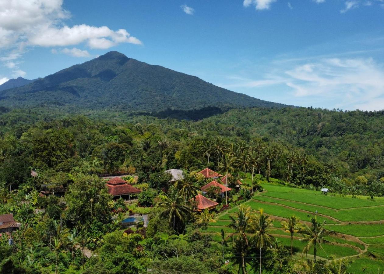 فندق Sava Eco Retreat Padangan  المظهر الخارجي الصورة
