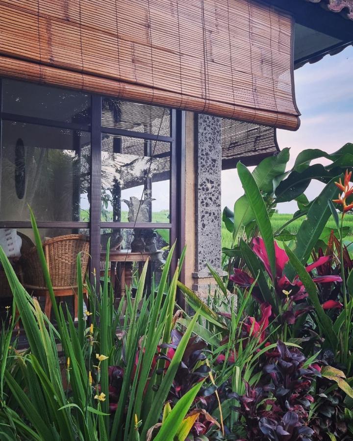 فندق Sava Eco Retreat Padangan  المظهر الخارجي الصورة