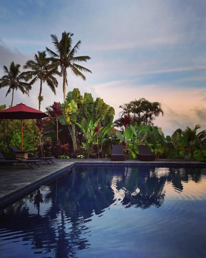 فندق Sava Eco Retreat Padangan  المظهر الخارجي الصورة