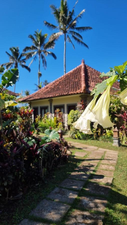 فندق Sava Eco Retreat Padangan  المظهر الخارجي الصورة