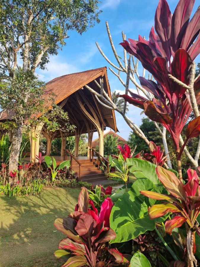 فندق Sava Eco Retreat Padangan  المظهر الخارجي الصورة
