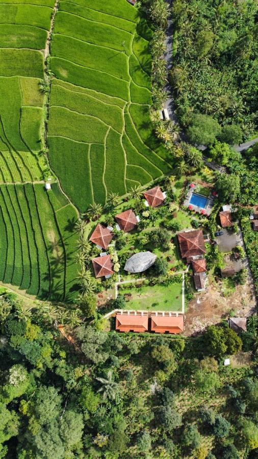 فندق Sava Eco Retreat Padangan  المظهر الخارجي الصورة