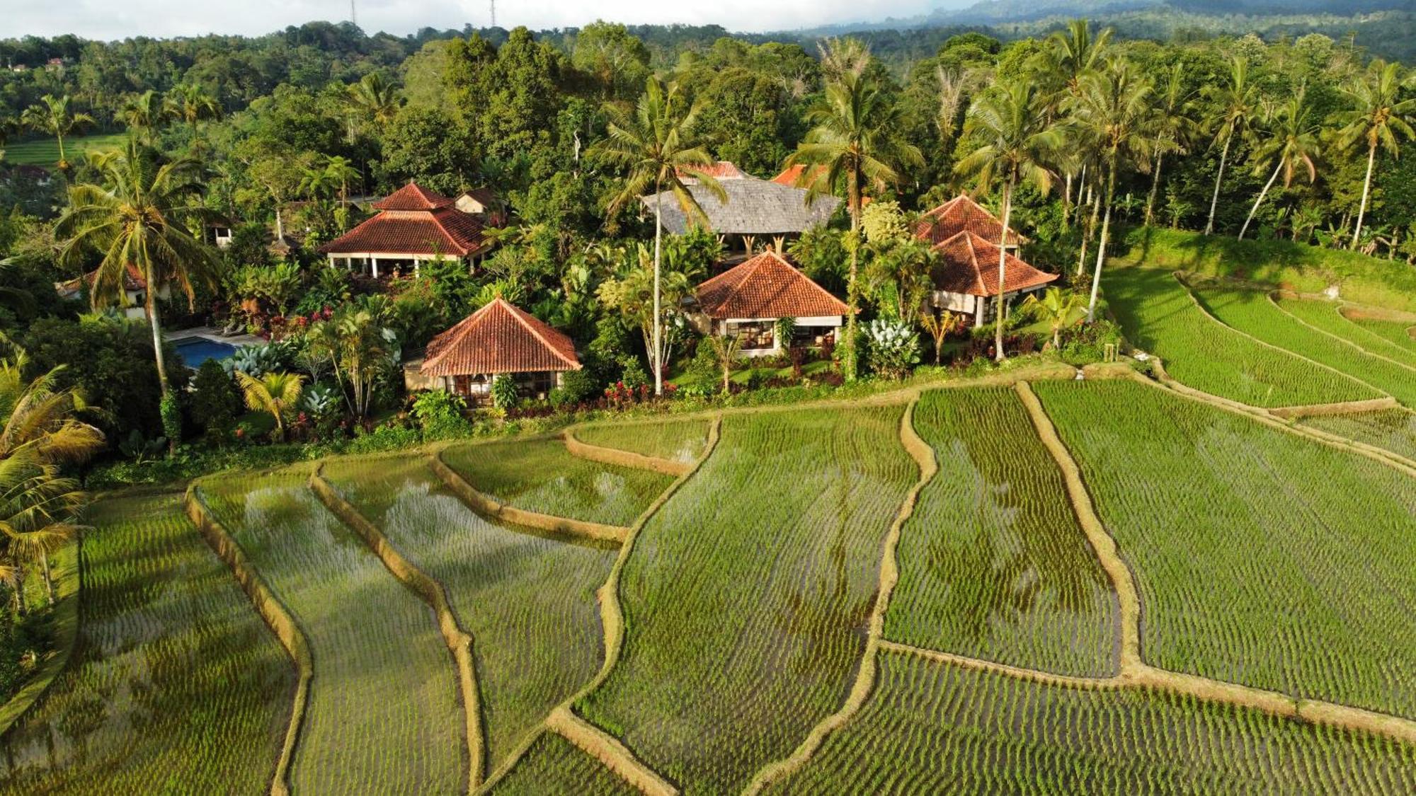 فندق Sava Eco Retreat Padangan  المظهر الخارجي الصورة